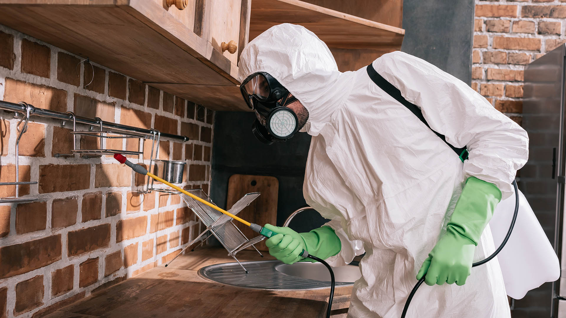 Nokta Çevre İlaçlama